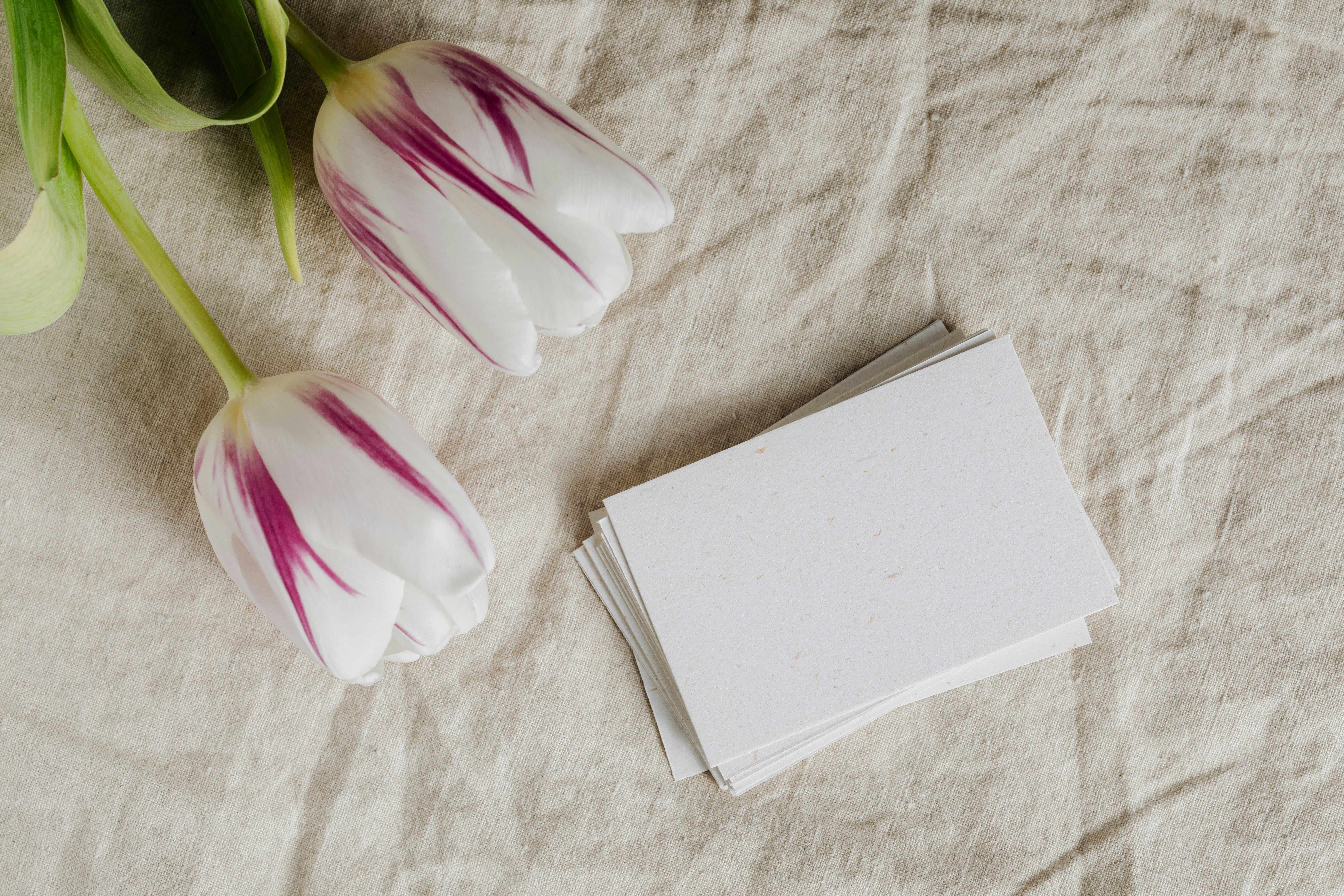 Birthday Invitation Card